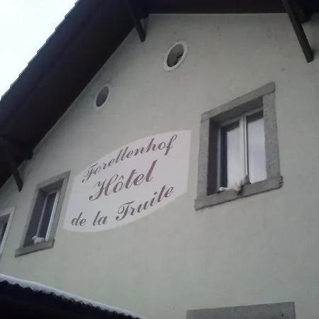 D'hotes 